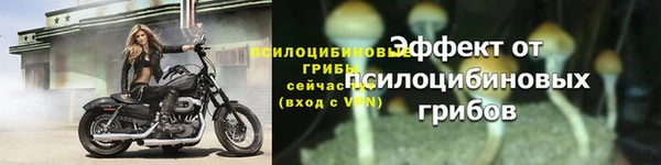 прущая мука Магас