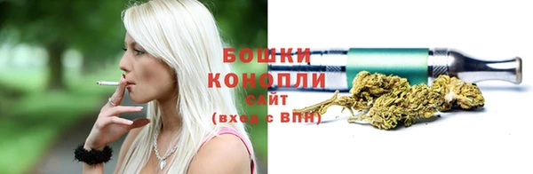 стафф Майский