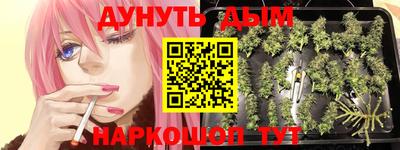дживик Сланцы
