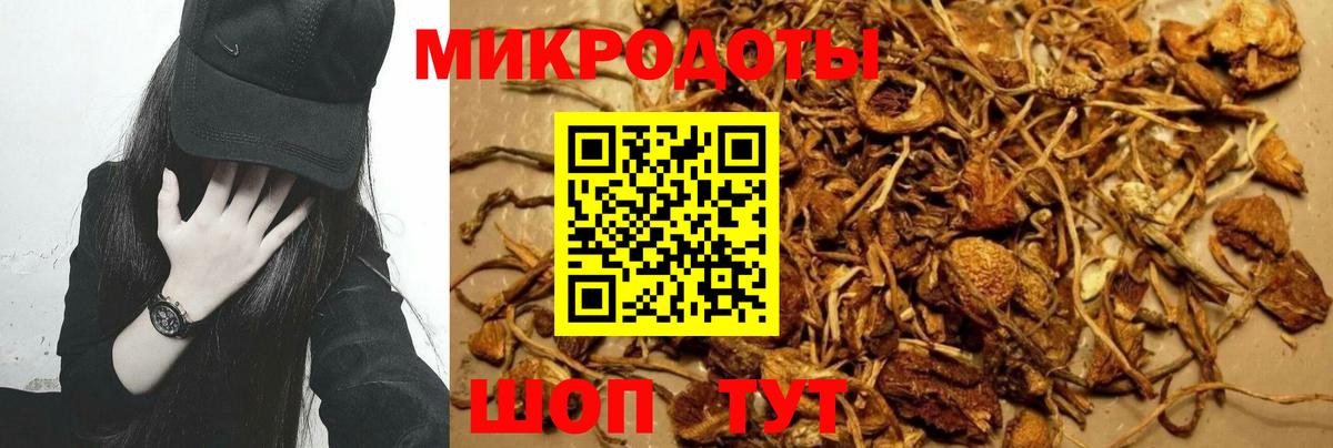 Галлюциногенные грибы ЛСД  купить  сайты  Партизанск  Вход с VPN 
